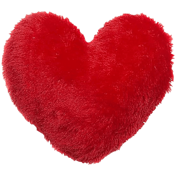 JBG Home Store Valentines Day Heart Shape Cushion Pillow Red, pc