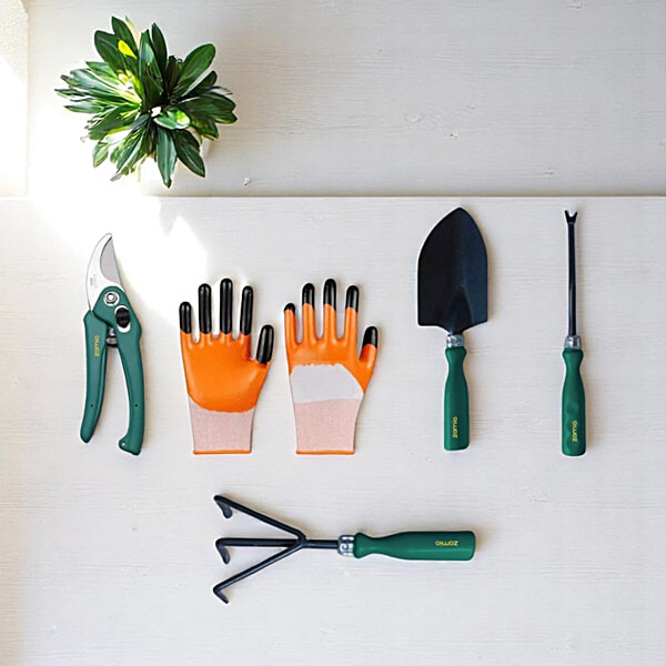 40347016_1-zamia-gardening-