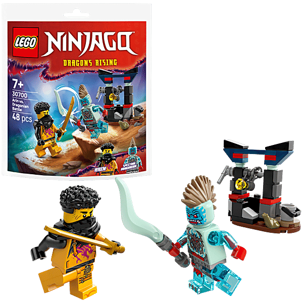 Buy LEGO Ninjago Arin vs. Dragonian Battle 30700 Online at Best