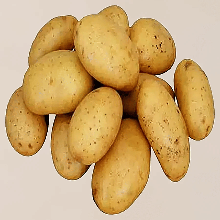 fresho! Jyoti Potato - Daily Veggies (Aloo, Onion, Tomato) on OZO Mart