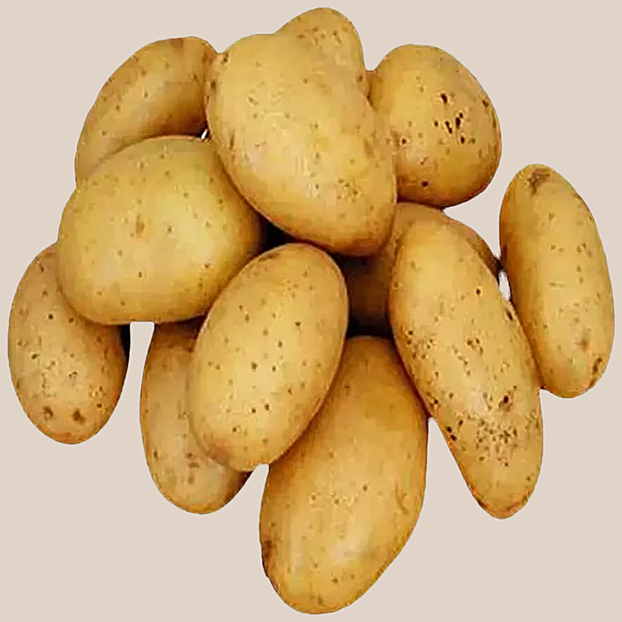 fresho! Jyoti Potato - Daily Veggies (Aloo, Onion, Tomato) on OZO Mart