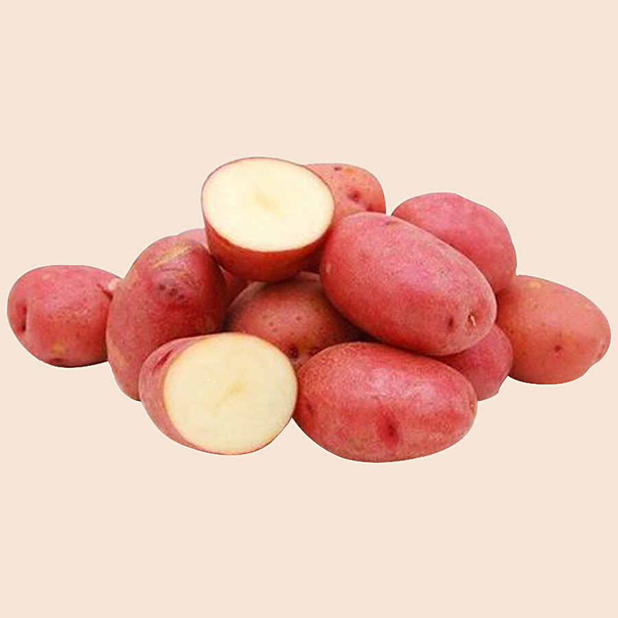 fresho! Potato - Red - Daily Veggies (Aloo, Onion, Tomato) on OZO Mart