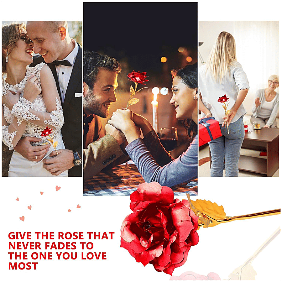 Buy JBG Home Store Red Rose Flower Gift Box - With Golden Leaf
