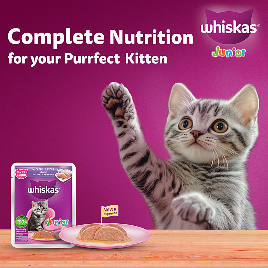 Buy Whiskas Mackerel Flavour Junior Kitten Wet Food to 12